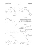 LEVETIRACETAM IMMUNOASSAYS diagram and image