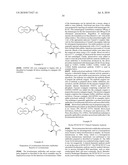 LEVETIRACETAM IMMUNOASSAYS diagram and image