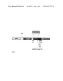 PEPTIDE / PROTEIN IDENTIFICATION USING PHOTOREACTIVE CARRIERS FOR THE IMMOBILISATION OF THE LIGANDS diagram and image