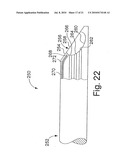 INTEGRATED ENDOSCOPE AND ACCESSORY TREATMENT DEVICE diagram and image