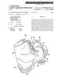 Magnetic Riding Shoe and Stirrup diagram and image