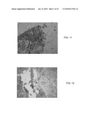 METHOD AND APPARATUS FOR ANALYZING IMAGERY DATA diagram and image