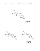 OPTICAL MEASUREMENT METHOD FOR DETERMINING THE PH OF A MEDIUM USING AGELADINE A AS A FLUORESCENT PH INDICATOR diagram and image