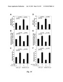 TRANSGENIC ONCOLYTIC VIRUSES AND USES THEREOF diagram and image