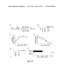 TRANSGENIC ONCOLYTIC VIRUSES AND USES THEREOF diagram and image