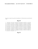 TRANSGENIC ONCOLYTIC VIRUSES AND USES THEREOF diagram and image