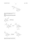 XANTHINE DERIVATIVES AS SELECTIVE HM74A AGONISTS diagram and image