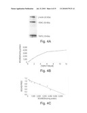 COMPOSITIONS, ARTICLES AND METHODS COMRISING TSPO LIGANDS FOR PREVENTING OR REDUCING TOBACCO-ASSOCIATED DAMAGE diagram and image