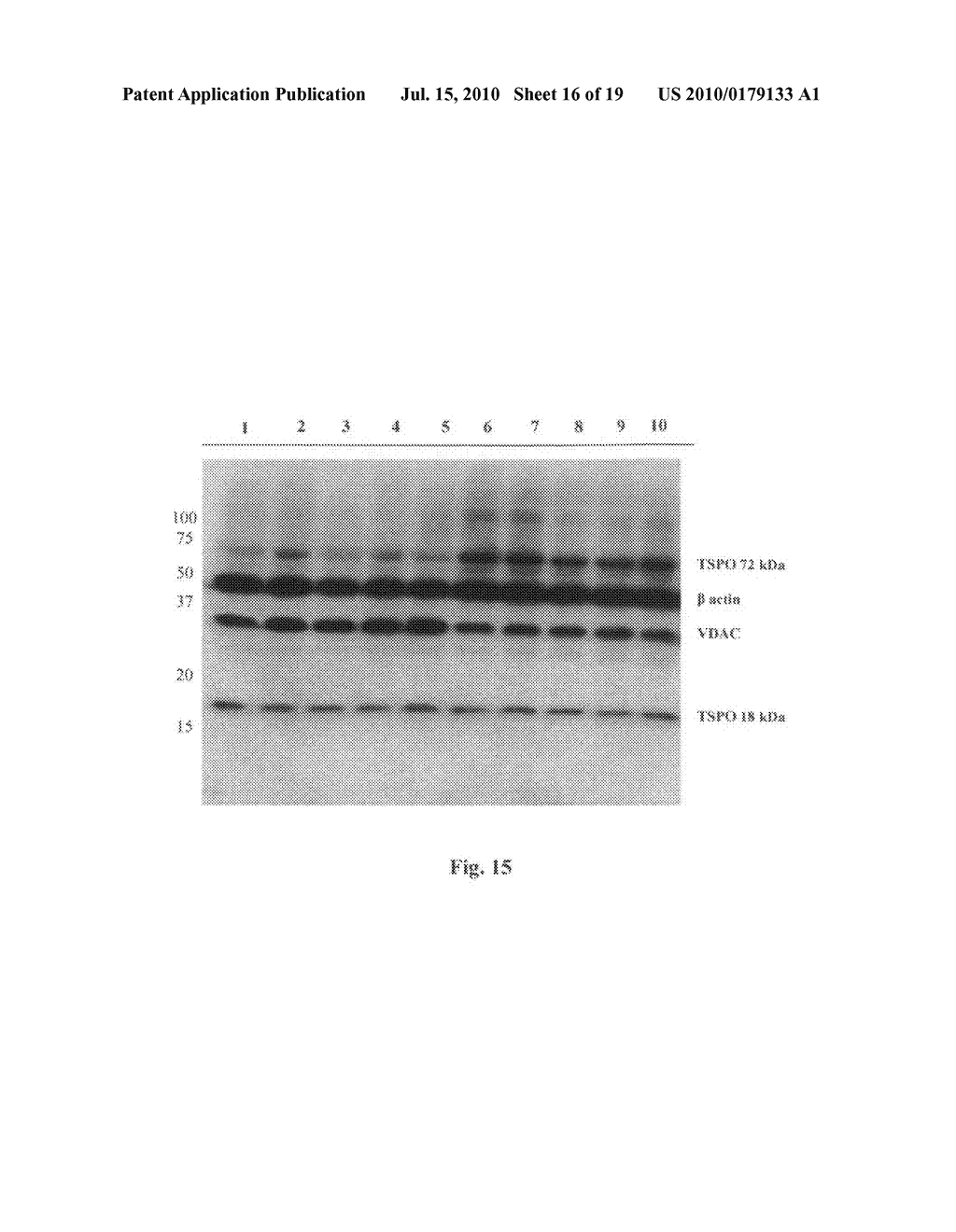 COMPOSITIONS, ARTICLES AND METHODS COMRISING TSPO LIGANDS FOR PREVENTING OR REDUCING TOBACCO-ASSOCIATED DAMAGE - diagram, schematic, and image 17