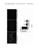 Compounds, Compositions, and Methods for the Treatment of Synucleinopathies diagram and image