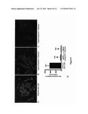 Compounds, Compositions, and Methods for the Treatment of Synucleinopathies diagram and image