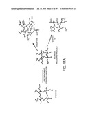 PROCESSING BIOMASS diagram and image