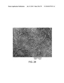 PROCESSING BIOMASS diagram and image