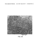 PROCESSING BIOMASS diagram and image