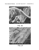 PROCESSING BIOMASS diagram and image