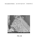 PROCESSING BIOMASS diagram and image