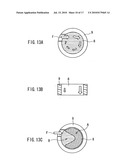 Blood Filter Device and Method of Producing the Same diagram and image