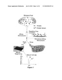 Integrated High Throughput System for the Analysis of Biomolecules diagram and image