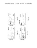 Integrated High Throughput System for the Analysis of Biomolecules diagram and image