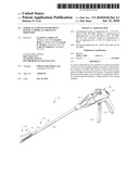 SURGICAL STAPLING INSTRUMENT HAVING A MEDICAL SUBSTANCE DISPENSER diagram and image