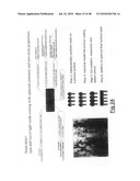 Radiation Arrangement diagram and image