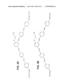 METHODS AND SYSTEMS FOR DETERMINING FLEXOELECTRIC EFFECT IN A LIQUID CRYSTAL diagram and image