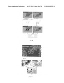 Methods for adaptive and progressive gradient-based multi-resolution color image segmentation and systems thereof diagram and image