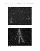 STABLE SOLUBLE SALTS OF PHENYLBENZIMIDAZOLE SULFONIC ACID AT PHS AT OR BELOW 7.0 diagram and image