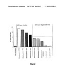 BIFIDOBACTERIUM LONGUM diagram and image