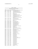 BIFIDOBACTERIUM LONGUM diagram and image