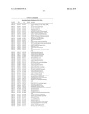 BIFIDOBACTERIUM LONGUM diagram and image