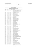 BIFIDOBACTERIUM LONGUM diagram and image