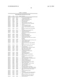 BIFIDOBACTERIUM LONGUM diagram and image