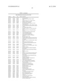 BIFIDOBACTERIUM LONGUM diagram and image