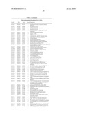 BIFIDOBACTERIUM LONGUM diagram and image