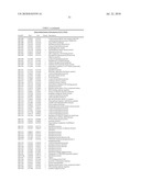 BIFIDOBACTERIUM LONGUM diagram and image