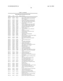 BIFIDOBACTERIUM LONGUM diagram and image