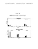 LSA-5 liver stage and blood stage antigen of Plasmodium falciparum, immunogenic composition comprising said antigen, and vaccines against malaria diagram and image