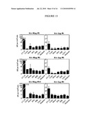 LSA-5 liver stage and blood stage antigen of Plasmodium falciparum, immunogenic composition comprising said antigen, and vaccines against malaria diagram and image