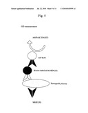 Antibody against secreted N-terminal peptide of GPC3 present in blood or C-terminal peptide of GPC3 diagram and image