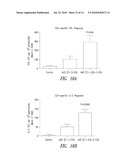 METHODS AND COMPOSITIONS FOR PRODUCING AN ADENOVIRUS VECTOR FOR USE WITH MULTIPLE VACCINATIONS diagram and image