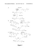 CONJUGATES OF PLASMODIUM FALCIPARUM SURFACE PROTEINS AS MALARIA VACCINES diagram and image