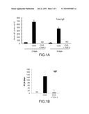 METHOD OF TREATING ALLERGIES USING TGF-BETA1 AND ALLERGENS diagram and image