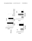 METHOD OF TREATING ALLERGIES USING TGF-BETA1 AND ALLERGENS diagram and image