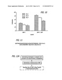 Surgical Applications for BMP Binding Protein diagram and image