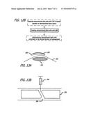 Surgical Applications for BMP Binding Protein diagram and image