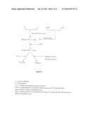 Novel Process diagram and image