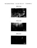 ACTIVE MATERIAL FOR BATTERY AND BATTERY HAVING THE SAME diagram and image