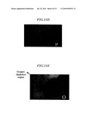 ACTIVE MATERIAL FOR BATTERY AND BATTERY HAVING THE SAME diagram and image