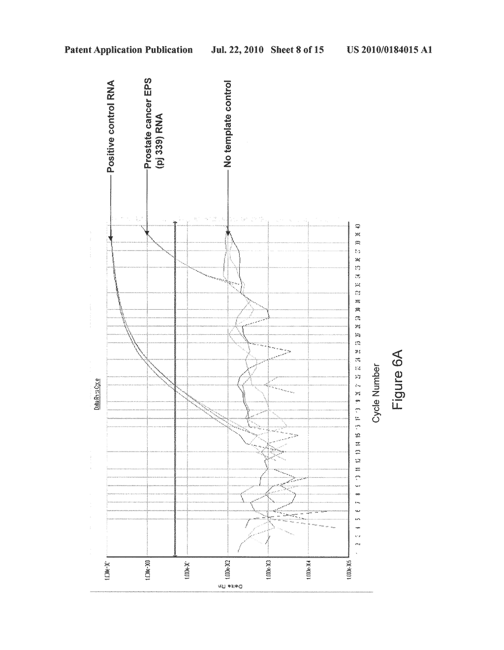 METHOD FOR DETECTION OF XMRV - diagram, schematic, and image 09